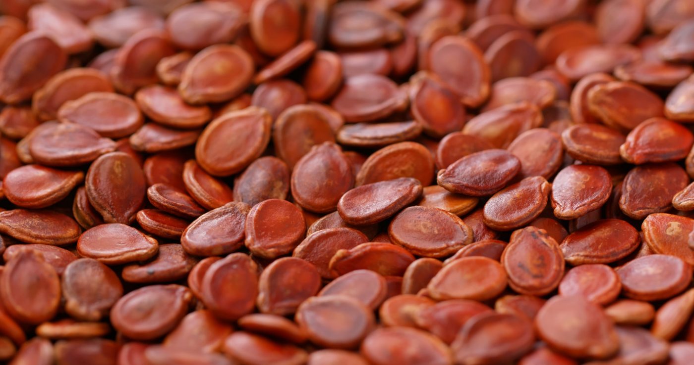 Semente de melão: Benefícios que você precisa conhecer