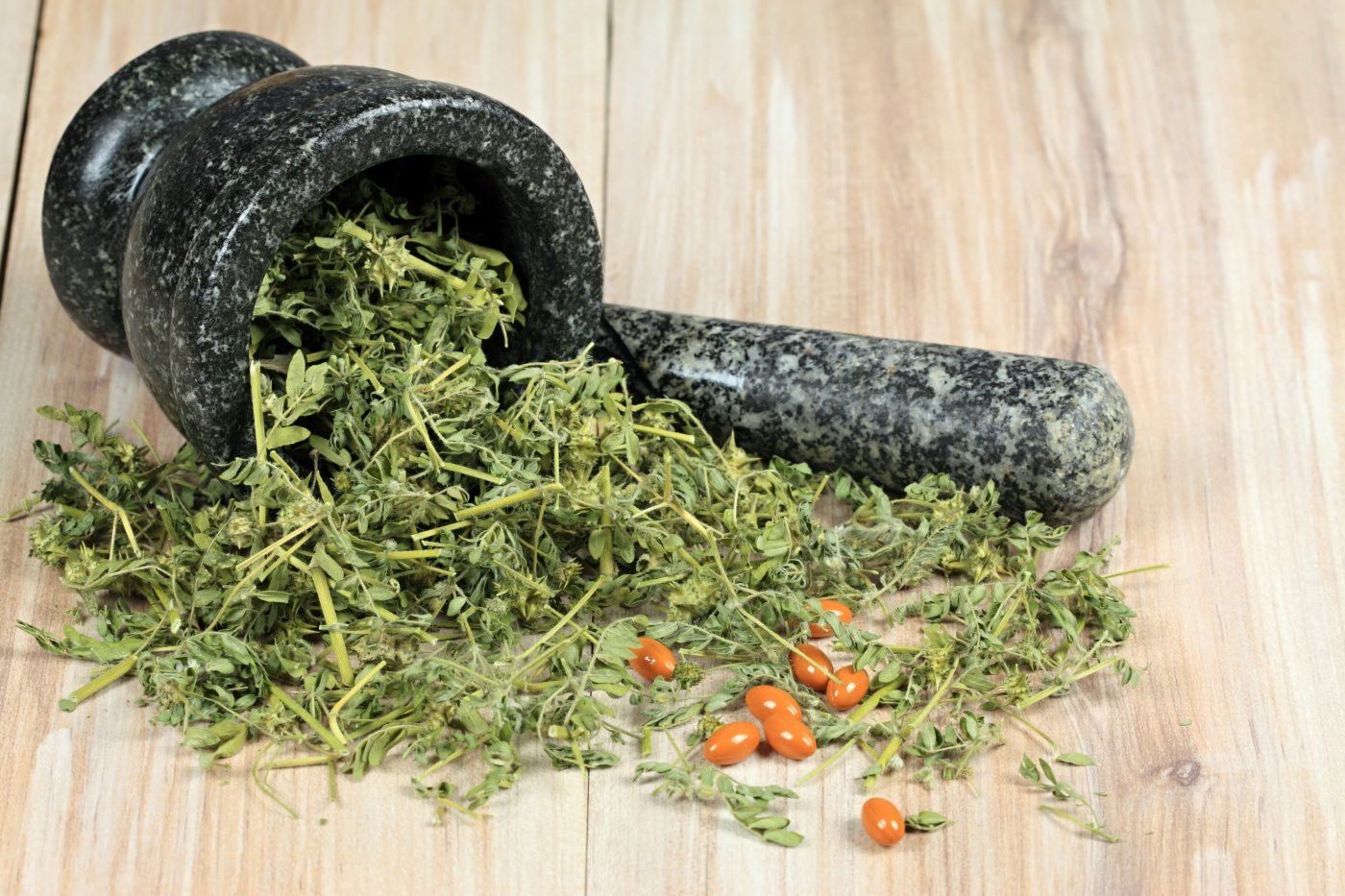 Tribulus terrestris: Conheça a erva e suas propriedades