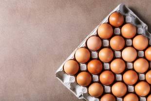 Alergia ao ovo: Conheça os sintomas e como identificar