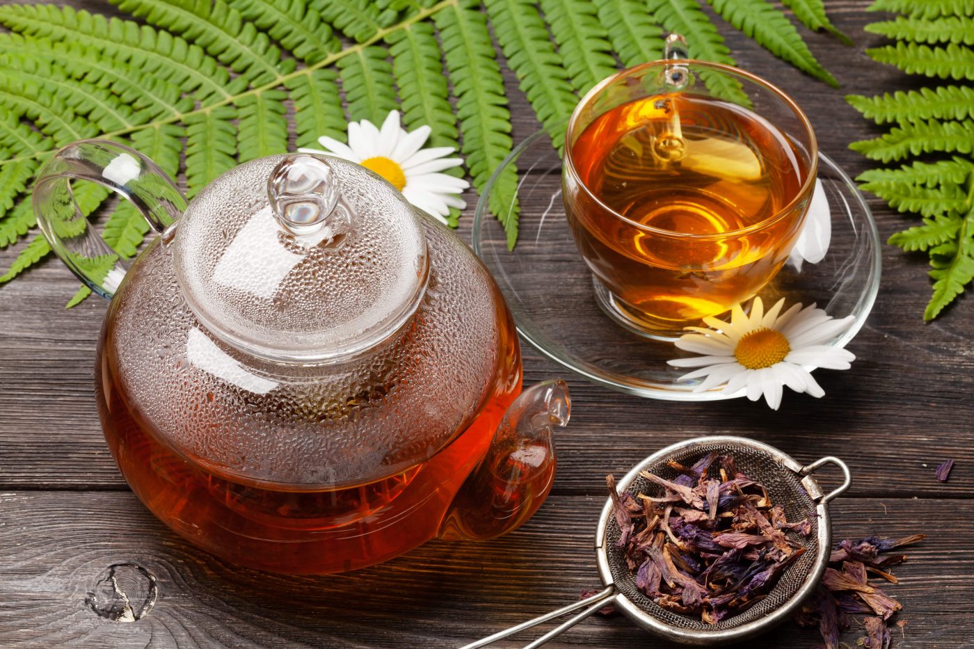 Chá de chapéu-de-couro: Conheça os benefícios