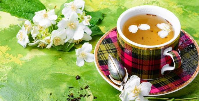 Chá de jasmim: Conheça os benefícios e propriedades