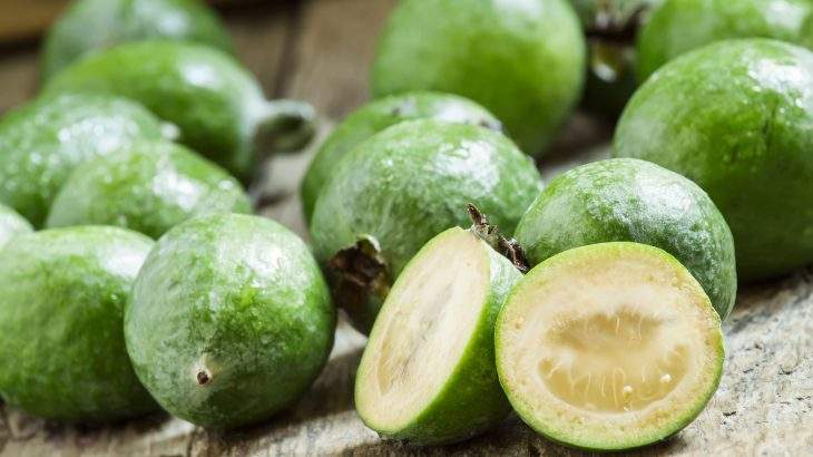 feijoa