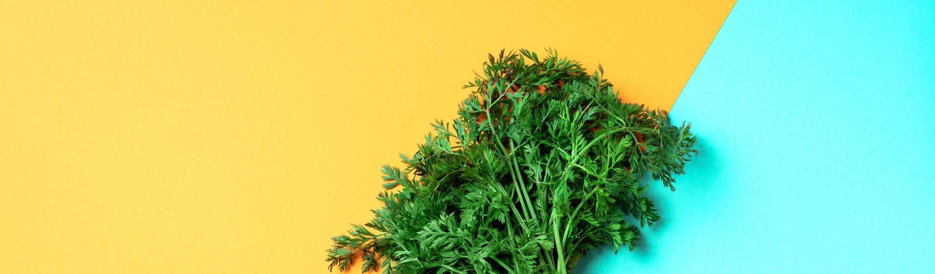 folhas de cenoura quais são os alimentos reguladores