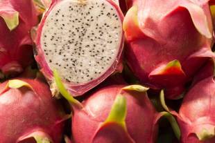 Koubo: Os benefícios do extrato da pitaya