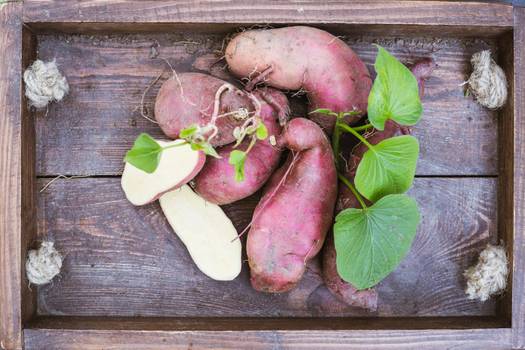 Folhas de batata-doce: Benefícios e como usá-las