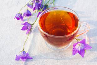 Chá de hissopo: Conheça os benefícios da bebida