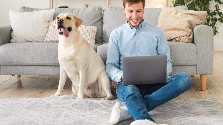 animal de estimação