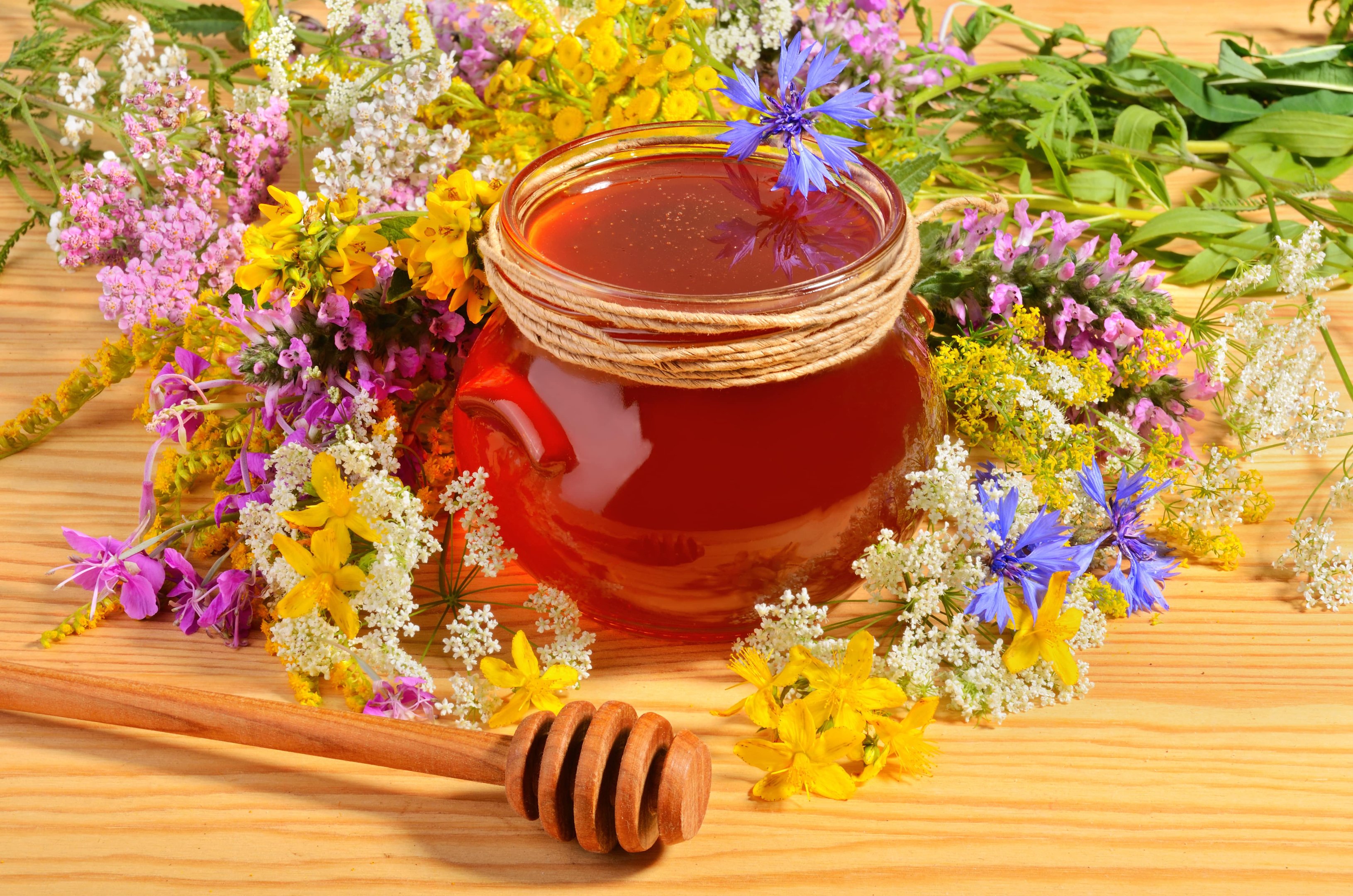 Мед разнотравье полезные