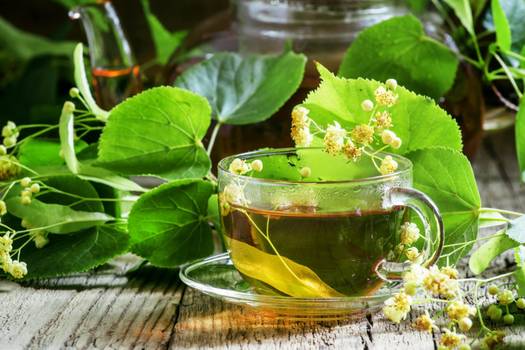 Chá de bétula: Conheça seus benefícios e propriedades