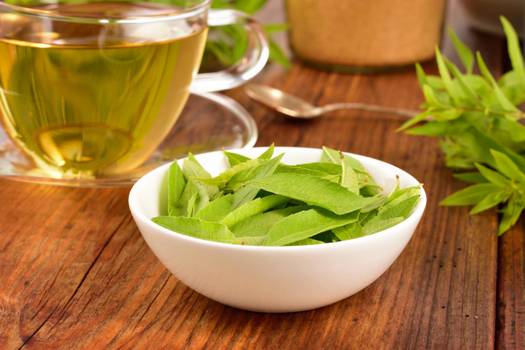Chá de lúcia-lima (limonete): Benefícios da erva luísa