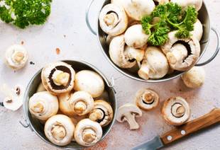 Champignon (cogumelo Paris): Benefícios e como consumir