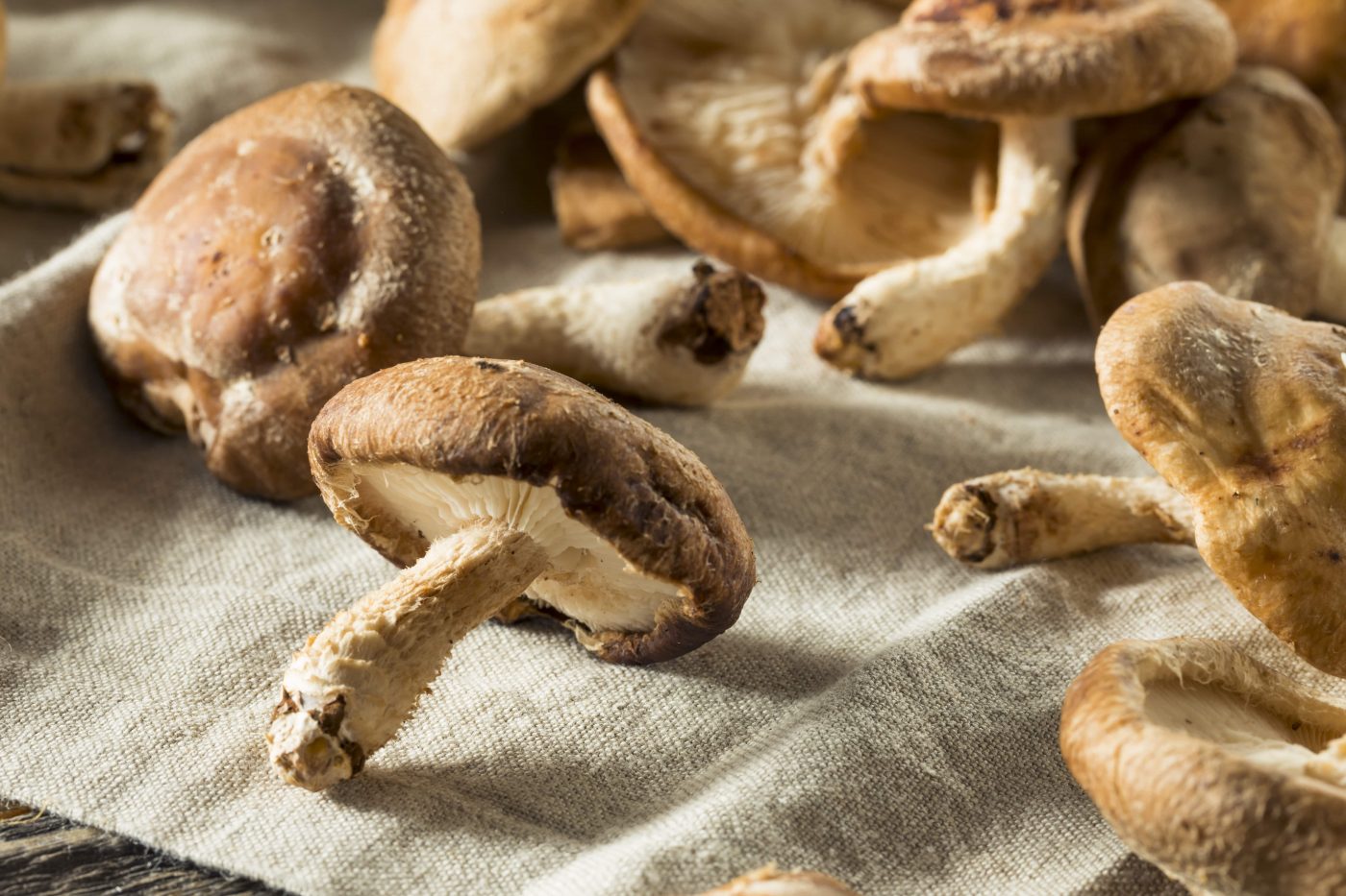 Shitake: Confira 5 benefícios de consumir o cogumelo e como