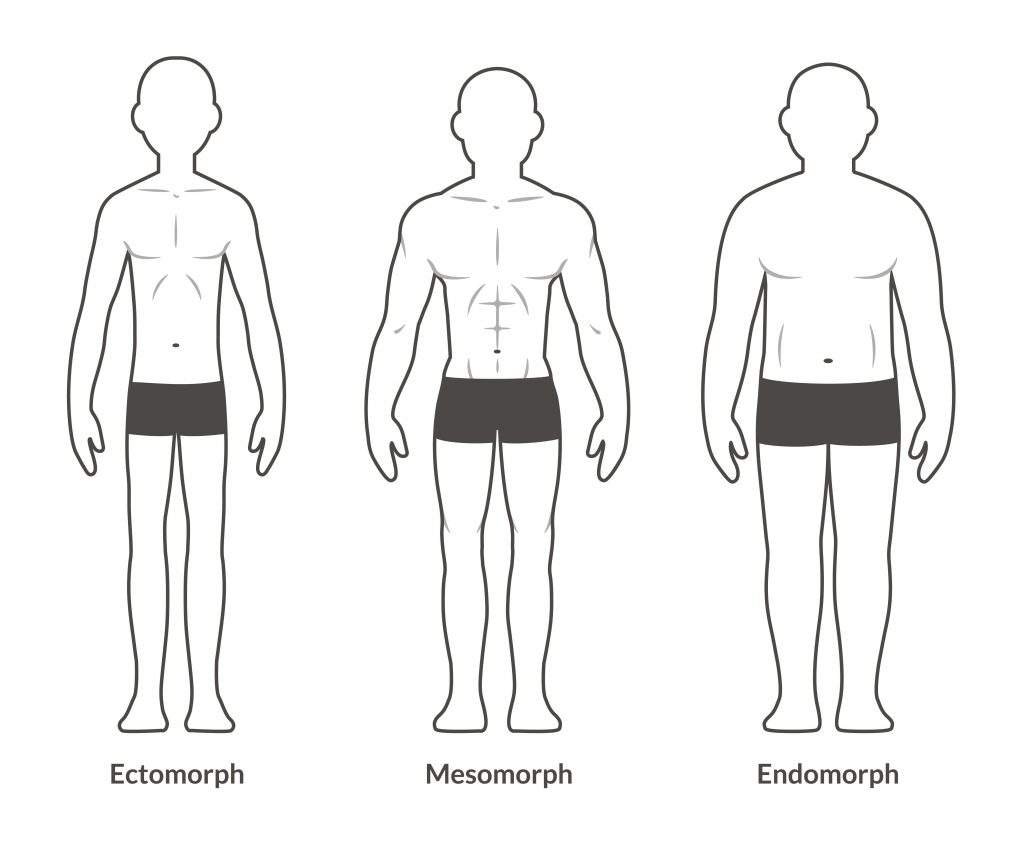 endomorfo
