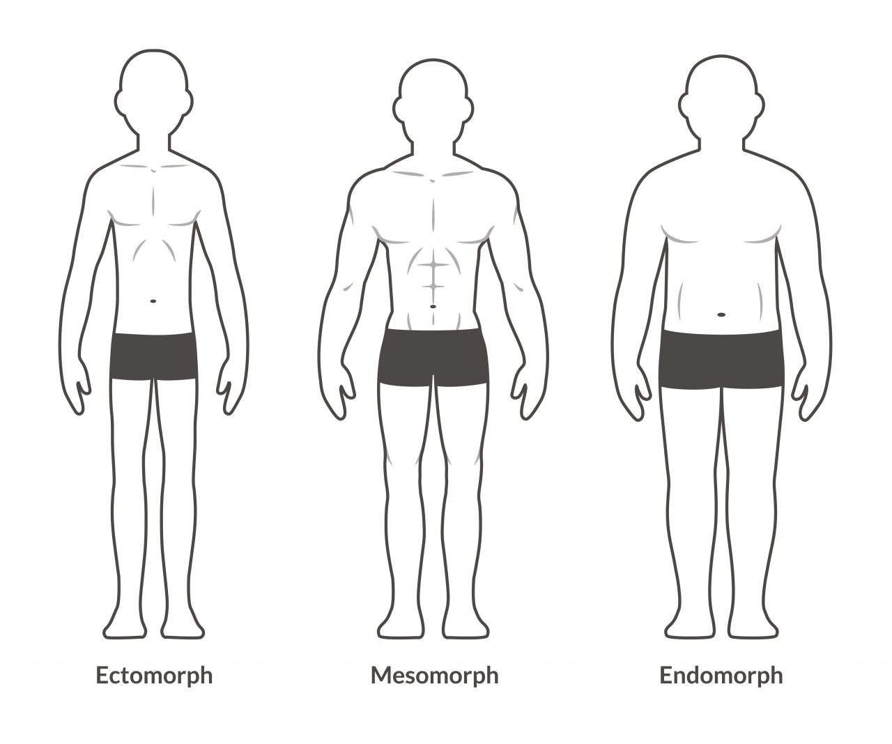 Dieta para endomorfo: O que é e benefícios - Vitat
