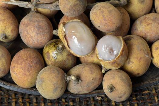 Pitomba: Conheça a fruta rica em fibras e vitaminas