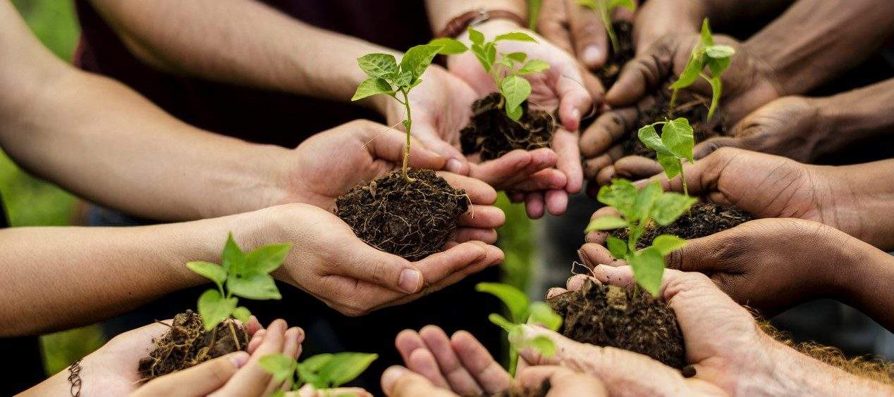 trabalho voluntário