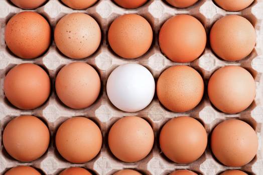 Lavar o ovo antes de consumi-lo é necessário? Entenda