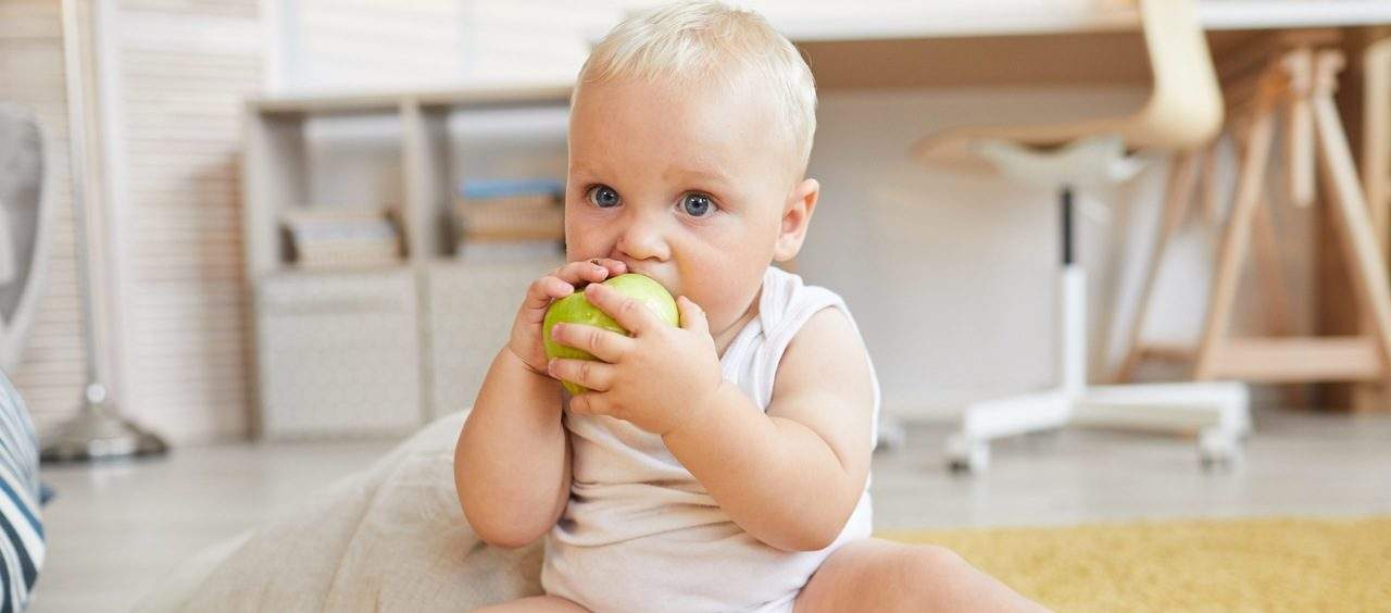 introdução alimentar