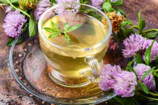 Chá de cambará: O que é e como ele pode beneficiar a saúde
