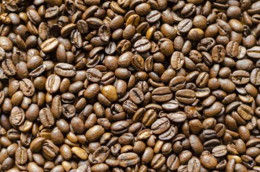 Café arábica: Propriedades e benefícios do grão
