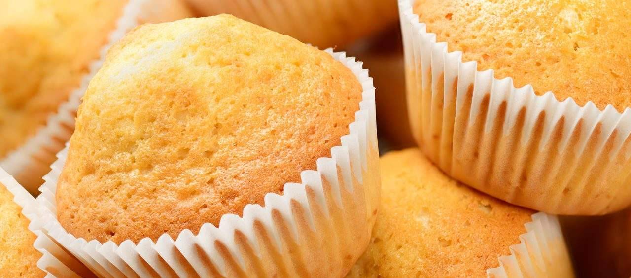 muffin salgado low carb sem lactose
