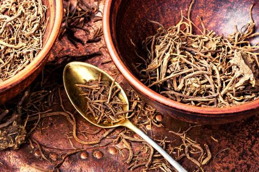 Chá de valeriana: Benefícios e como preparar em casa