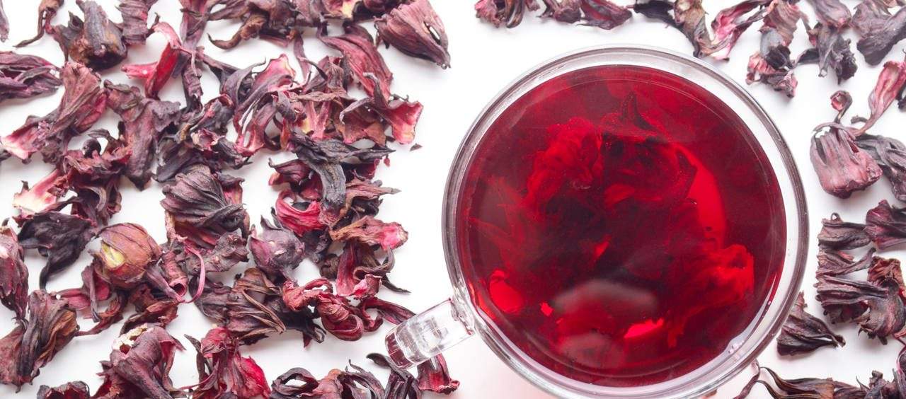 chá de hibisco com canela chá de hibisco diurético