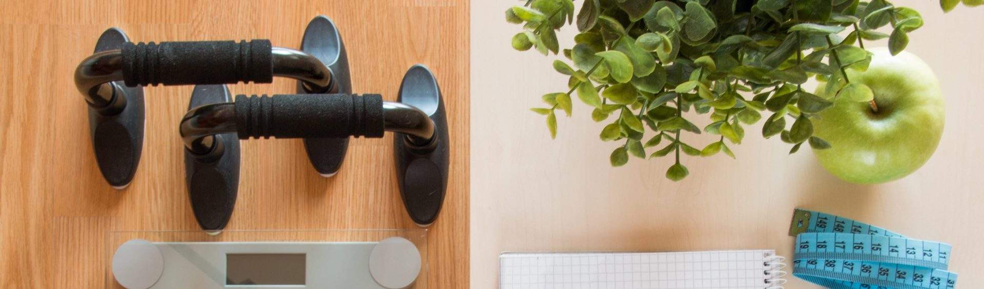 anabolismo catabolismo diferença