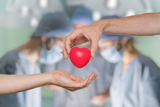 Doação de órgãos: mitos e verdades sobre o assunto