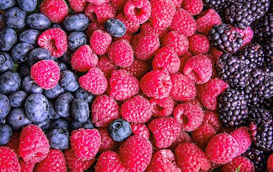 Frutas vermelhas: Conheça os benefícios e saiba quais são as principais