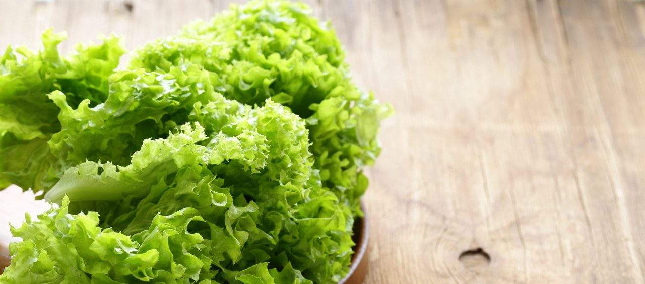 como conservar alface