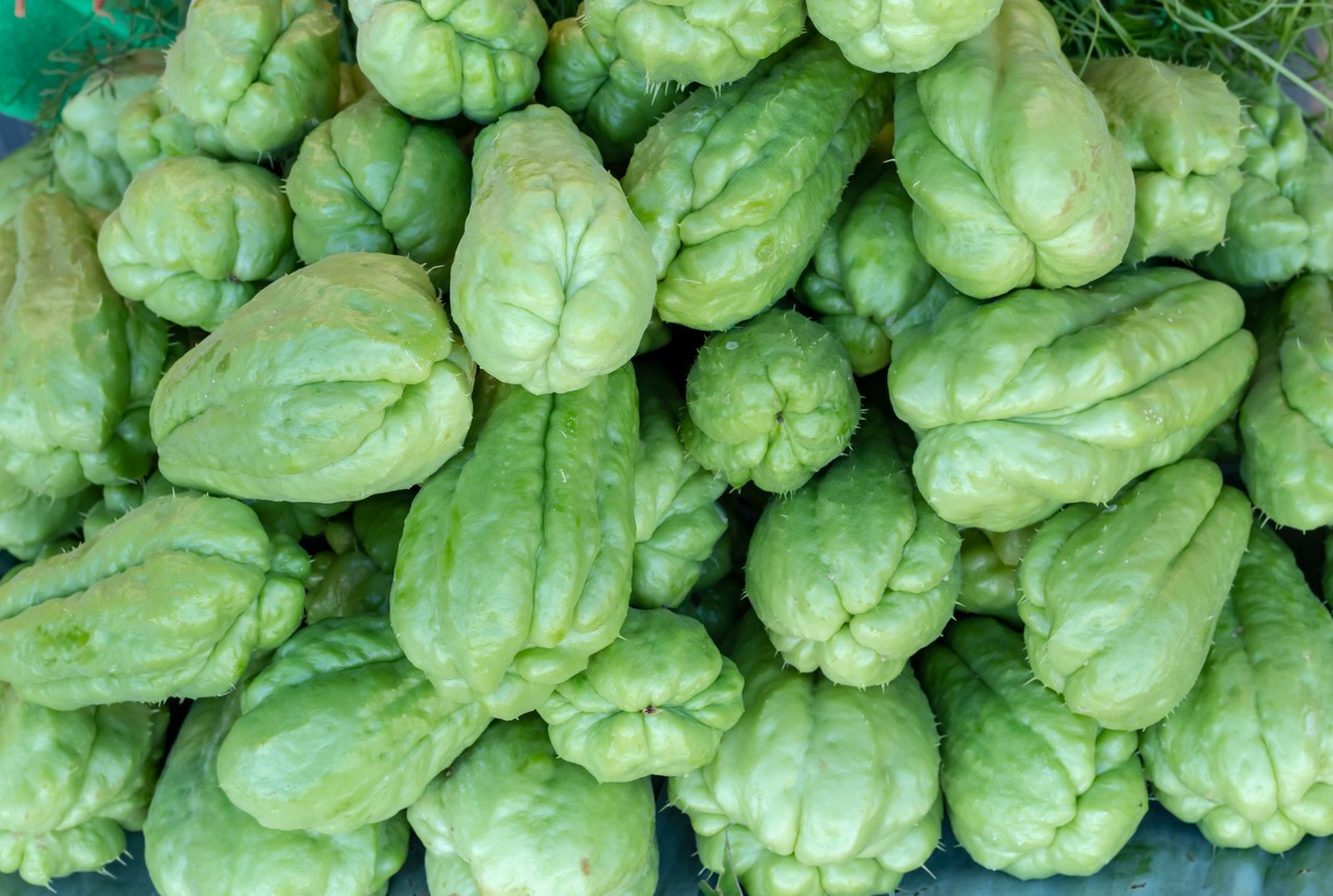 Suco de chuchu: benefícios e receitas da bebida inusitada