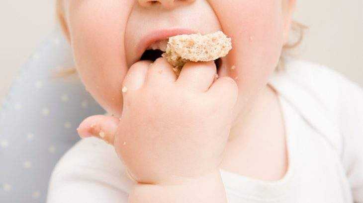 bebê pode comer bscoito maisena