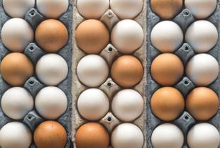 BBB 22: Faz mal comer 12 ovos por dia? Especialista responde