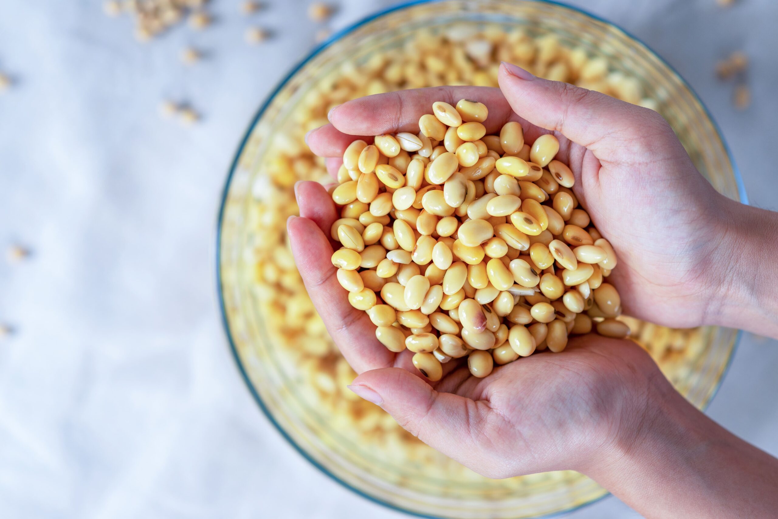 Deixar o feijão de molho é mesmo necessário? Entenda 