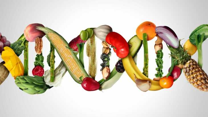 dieta epigenética