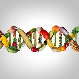 Dieta epigenética: alimentação dos pais pode neutralizar os “genes ruins” dos filhos?