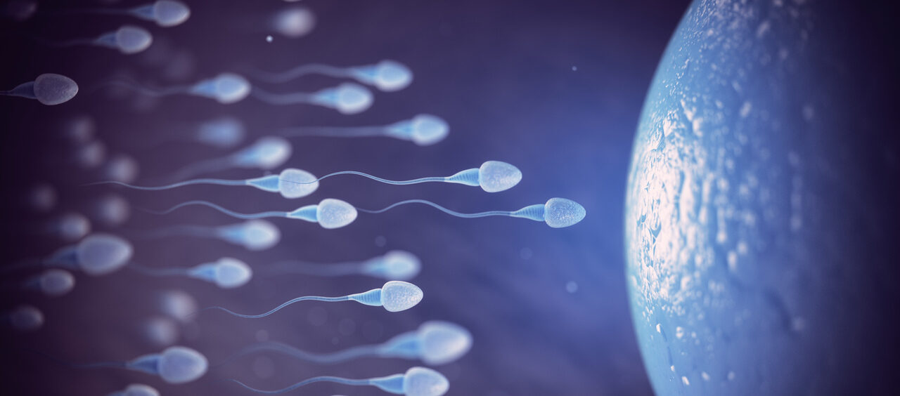 Envelhecimento de óvulos