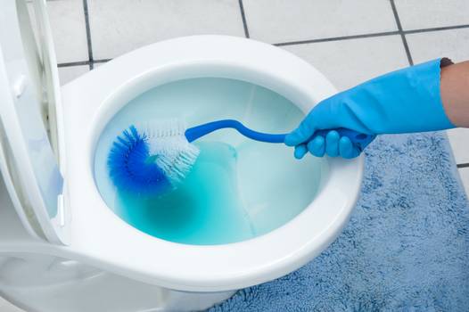Vai limpar o banheiro? Guia completo de higiene e limpeza do ambiente
