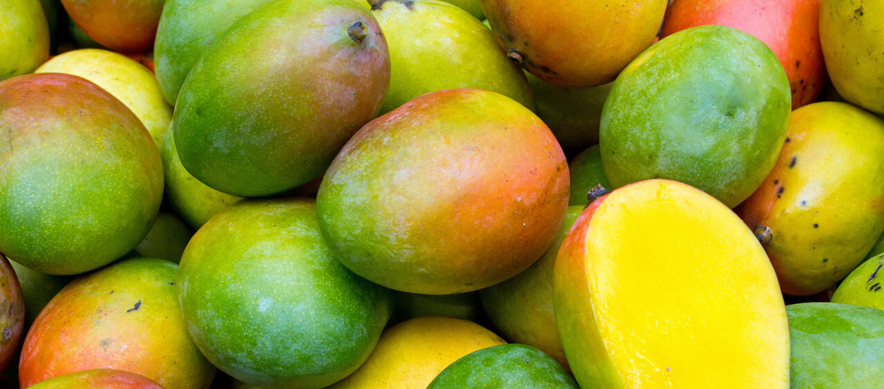 Casca de manga Suco de casca de manga emagrece