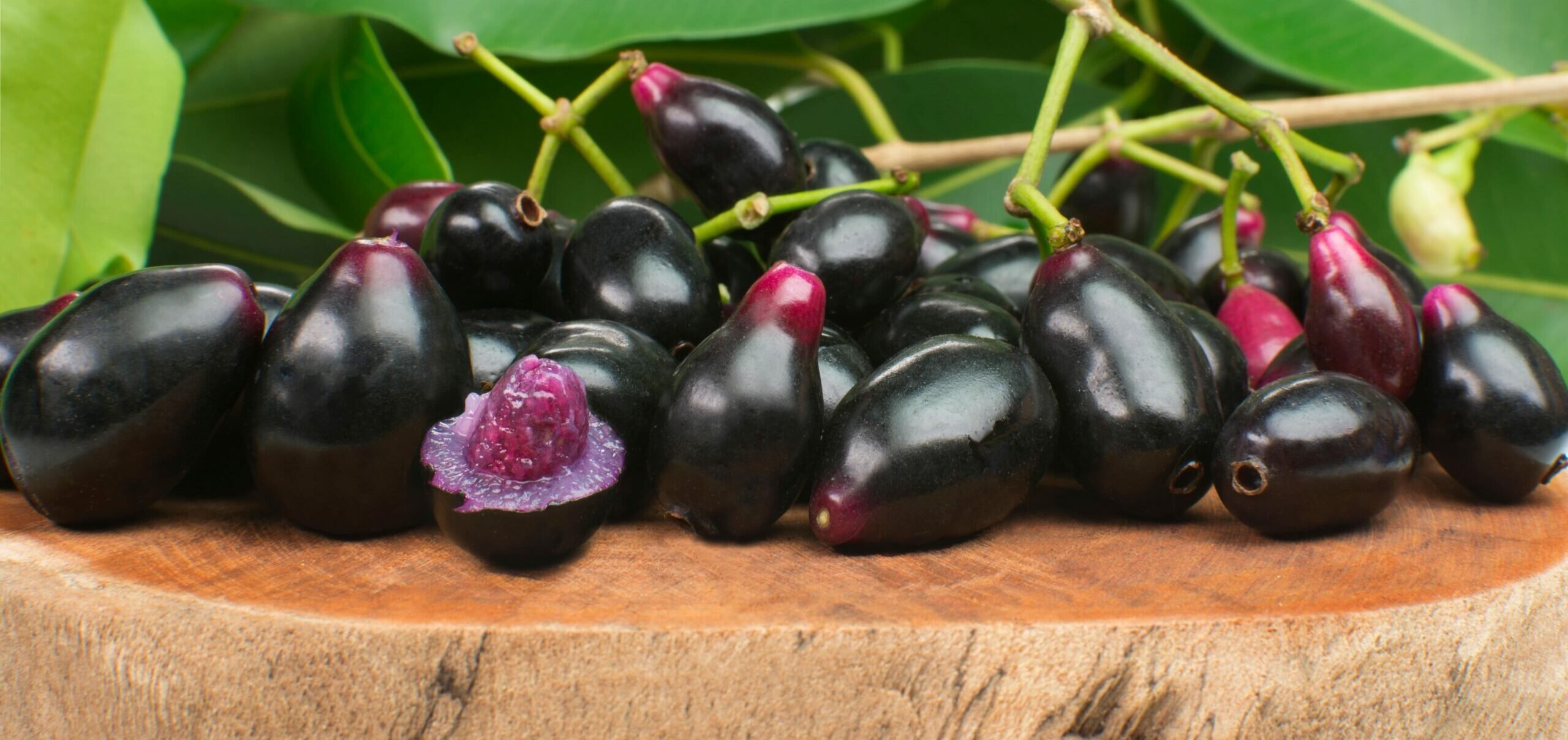 Fruta chamada jambo