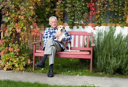 Pets protegem a capacidade cognitiva de idosos por mais tempo, diz estudo