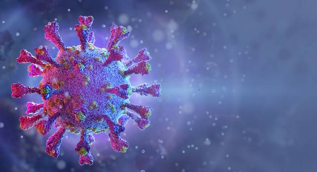 Trombose e Covid-19: como o vírus compromete a circulação