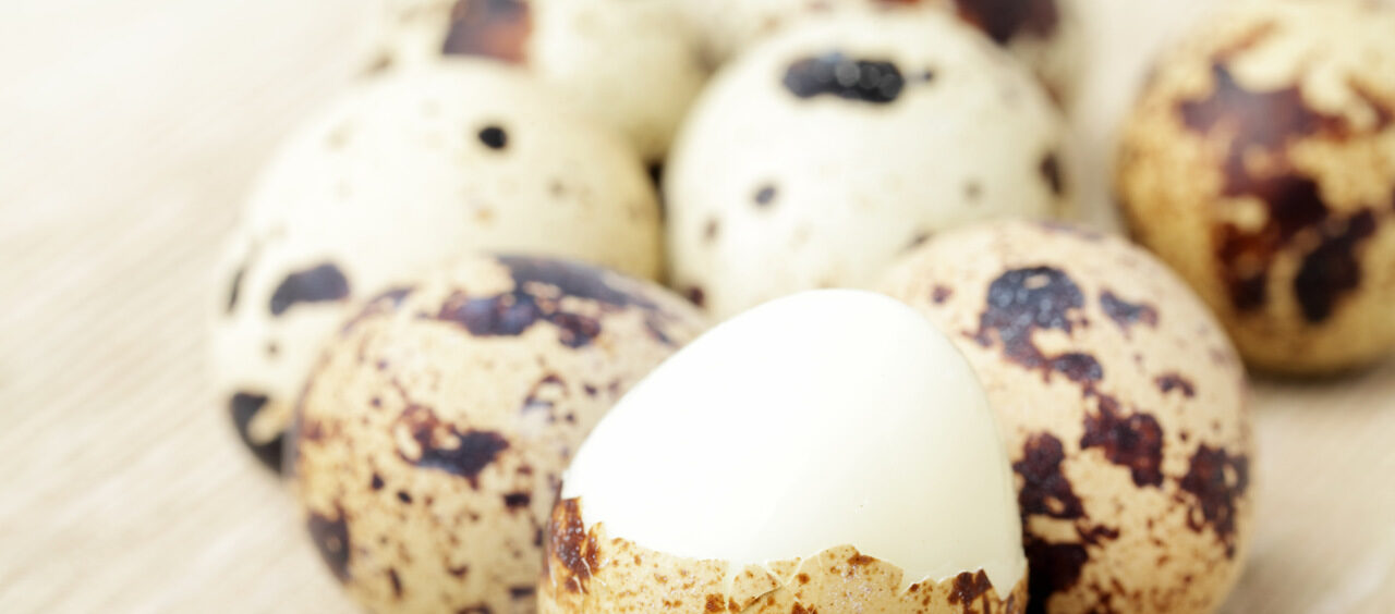 como descascar ovo de codorna