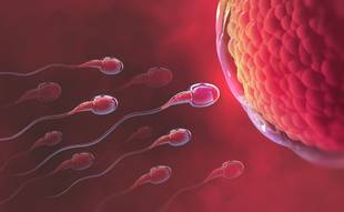 Gestação química ocorre quando o embrião não é implantado. Entenda