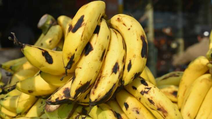 o que fazer com banana madura