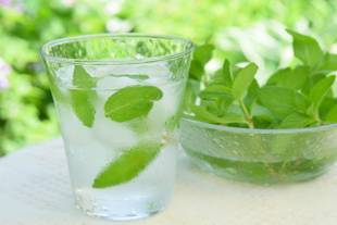 Água com hortelã emagrece? Conheça os benefícios da bebida