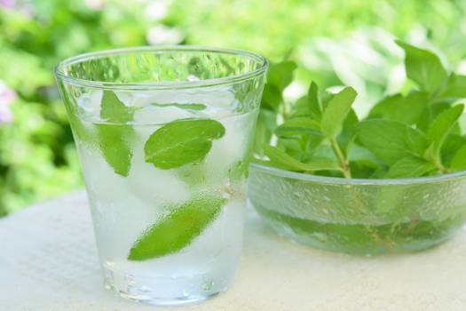 Água com hortelã emagrece? Conheça os benefícios da bebida