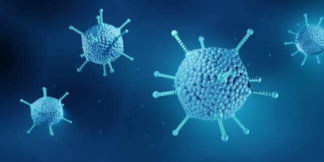 Adenovírus 41: conheça o ‘suspeito’ por surto de hepatite desconhecida