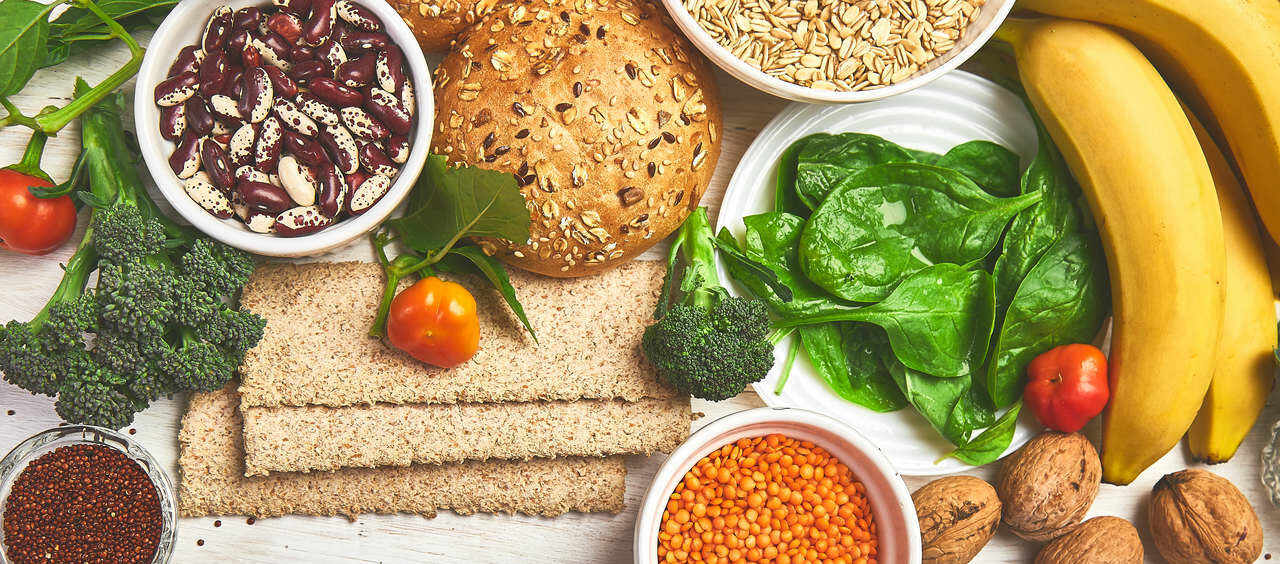 alimentação e intestino
